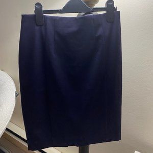 Express Navy Blue High Rise Skirt, Size 2